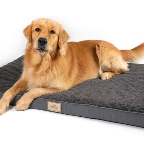 Hundeauslaufgebiet-DOGHOUSE PREMIUM-Bild