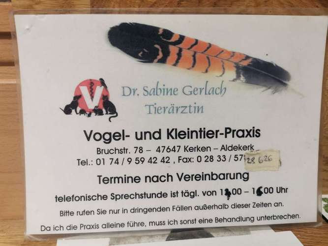 Hundeauslaufgebiet-Praxis Dr. Sabine Gerlach-Bild