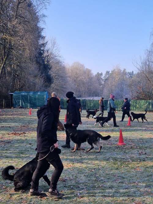 Hundeauslaufgebiet-Mein Hund und Ich e.V.-Bild