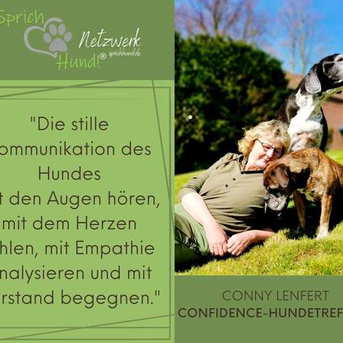 Hundeauslaufgebiet-Confidence-Hundetreff-Bild