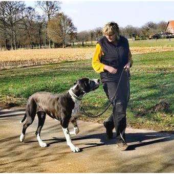 Hundeauslaufgebiet-Confidence-Hundetreff-Bild