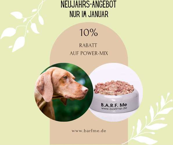 Hundeauslaufgebiet-B.A.R.F.Me-Bild