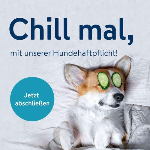 Hundeauslaufgebiet-4 Pfoten Versicherung-Bild