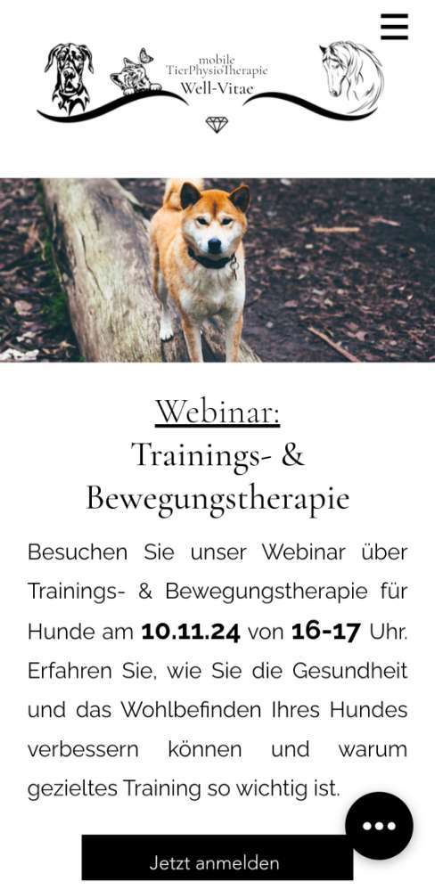 Hundeauslaufgebiet-Tierphysiotherapie Well-Vitae-Bild