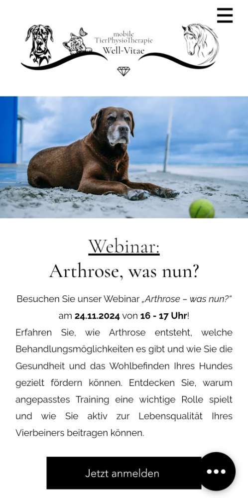 Hundeauslaufgebiet-Tierphysiotherapie Well-Vitae-Bild