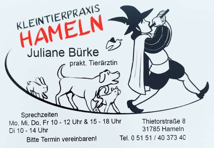 Hundeauslaufgebiet-Kleintierpraxis Hameln-Bild