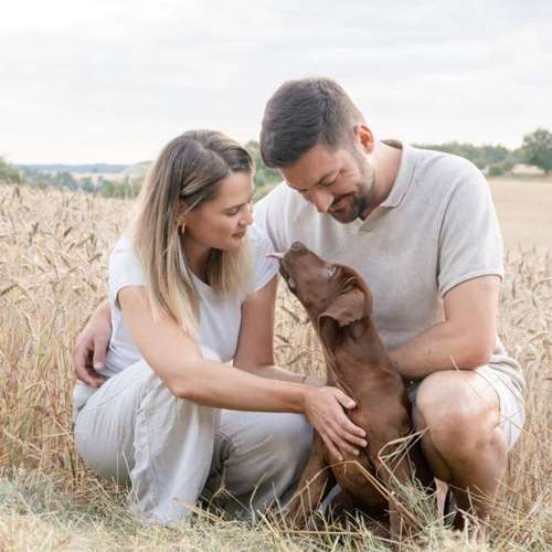 Hundeauslaufgebiet-Momentfang Fotografie-Bild