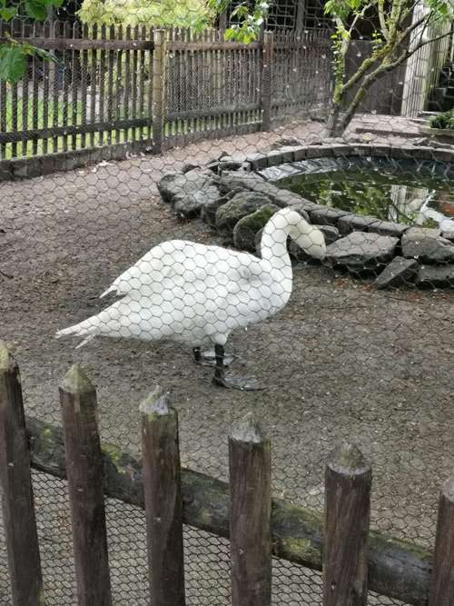 Hundeauslaufgebiet-Tierarztpraxis Auferkamp-Bild