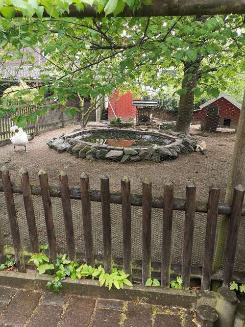 Hundeauslaufgebiet-Tierarztpraxis Auferkamp-Bild