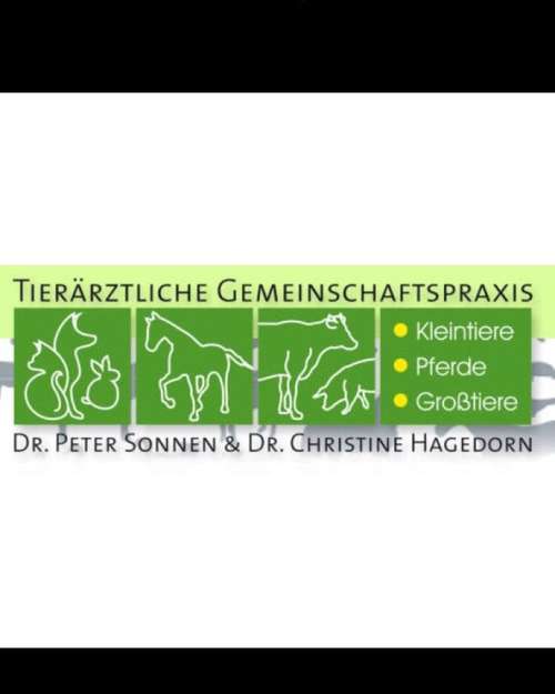 Hundeauslaufgebiet-Dr. Sonnen & Dr. Hagedorn-Bild