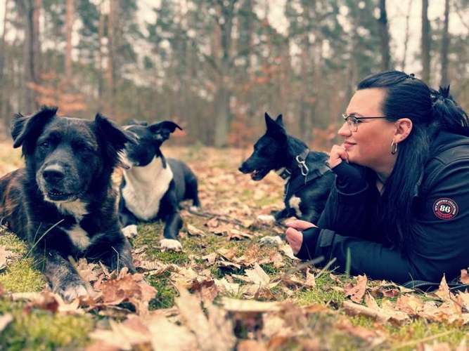 Hundeauslaufgebiet-Dogside Hundetraining-Bild