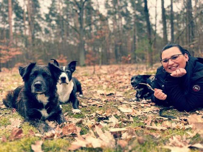 Hundeauslaufgebiet-Dogside Hundetraining-Bild