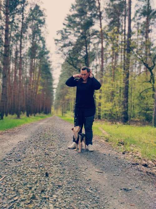 Hundeauslaufgebiet-Dogside Hundetraining-Bild