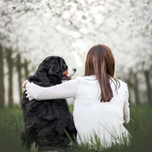 Hundeauslaufgebiet-Sofie Gruber Fotografie-Bild