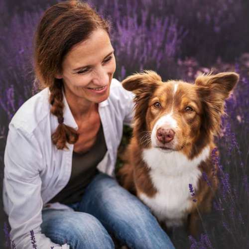 Hundeauslaufgebiet-Sofie Gruber Fotografie-Bild