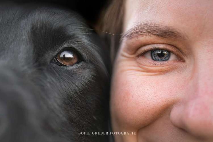 Hundeauslaufgebiet-Sofie Gruber Fotografie-Bild