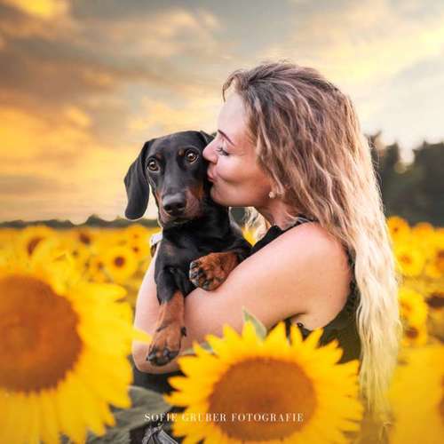 Hundeauslaufgebiet-Sofie Gruber Fotografie-Bild