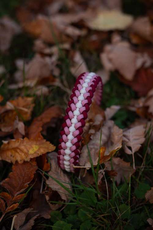 Hundeauslaufgebiet-Herzis Paracordwelt-Bild