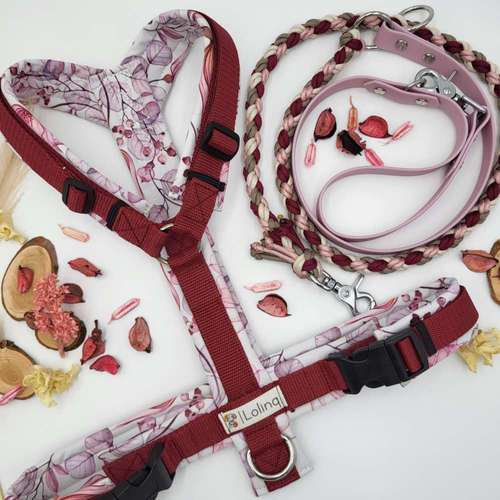 Hundeauslaufgebiet-Lolinq OG-Bild