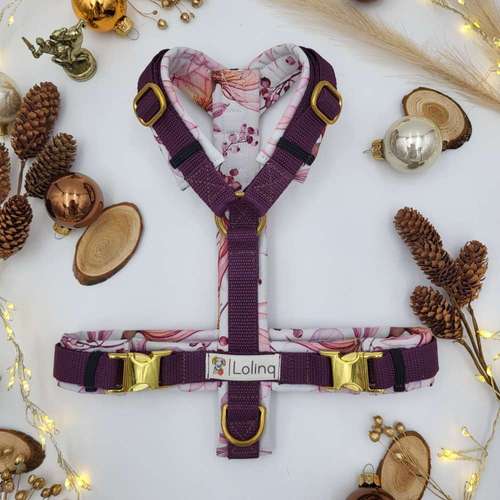 Hundeauslaufgebiet-Lolinq OG-Bild