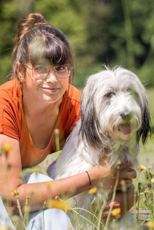 Hundeauslaufgebiet-Carmens Bunte Hunde-Bild