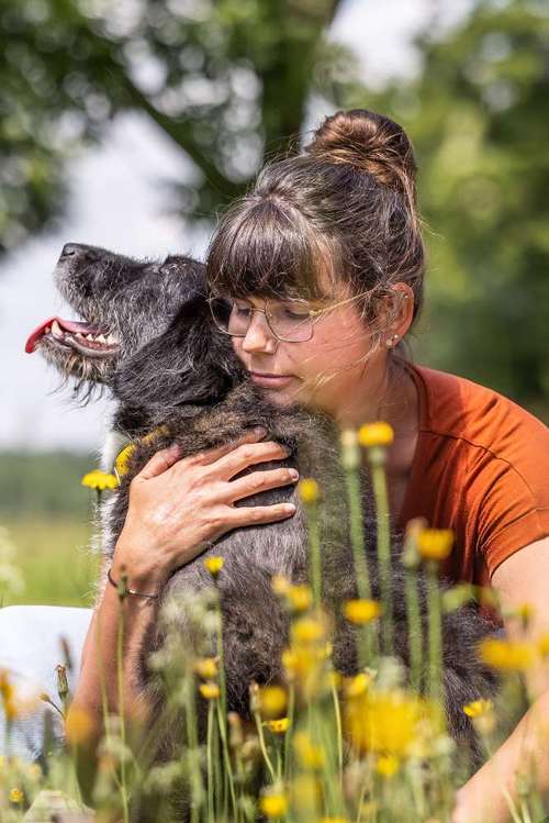 Hundeauslaufgebiet-Carmens Bunte Hunde-Bild