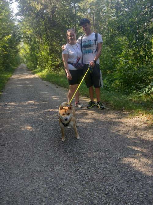 Hundeauslaufgebiet-Hundetraining Petra Schmidhuber-Bild