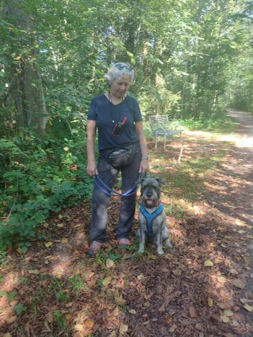 Hundeauslaufgebiet-Hundetraining Petra Schmidhuber-Bild