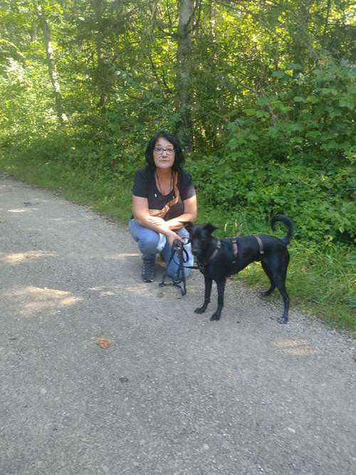 Hundeauslaufgebiet-Hundetraining Petra Schmidhuber-Bild