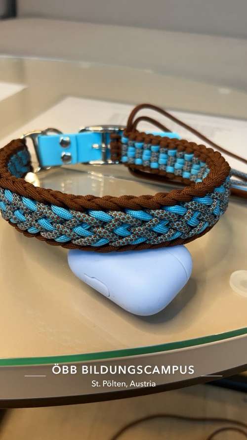 Hundeauslaufgebiet-Lockennase-Bild