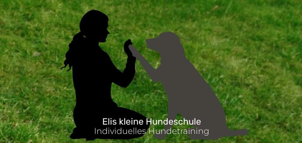 Hundeauslaufgebiet-Elis kleine Hundeschule-Bild