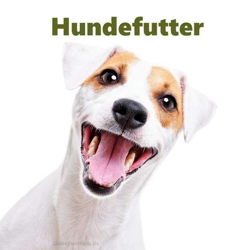 Hundeauslaufgebiet-Reico Vertriebspartner Liebe Füttern-Bild