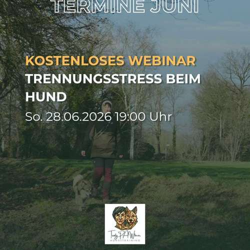 Hundeauslaufgebiet-TrustyPAWtner Isabelle Aghte-Bild