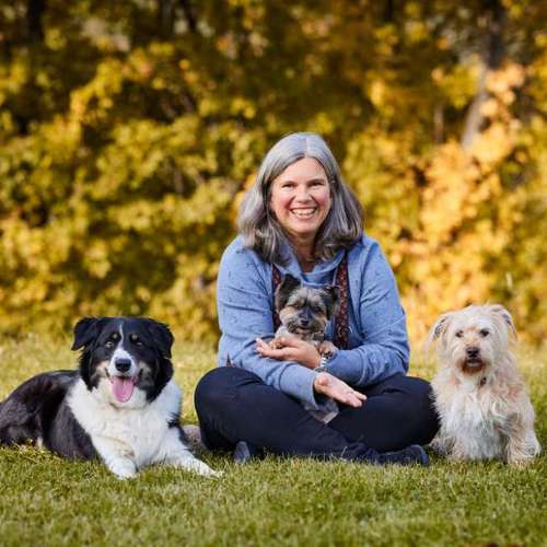 Hundeauslaufgebiet-Hundeschule & -pension Kuhlmann-Bild