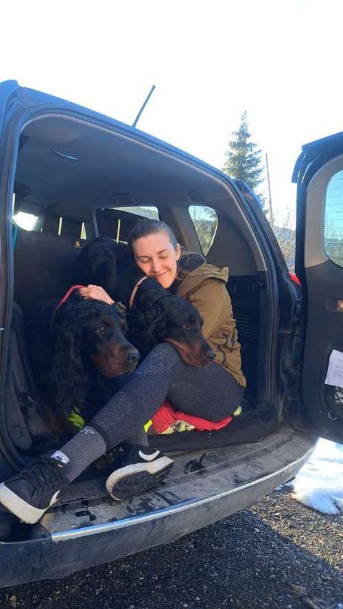 Hundeauslaufgebiet-Natürlich Stoak-Bild