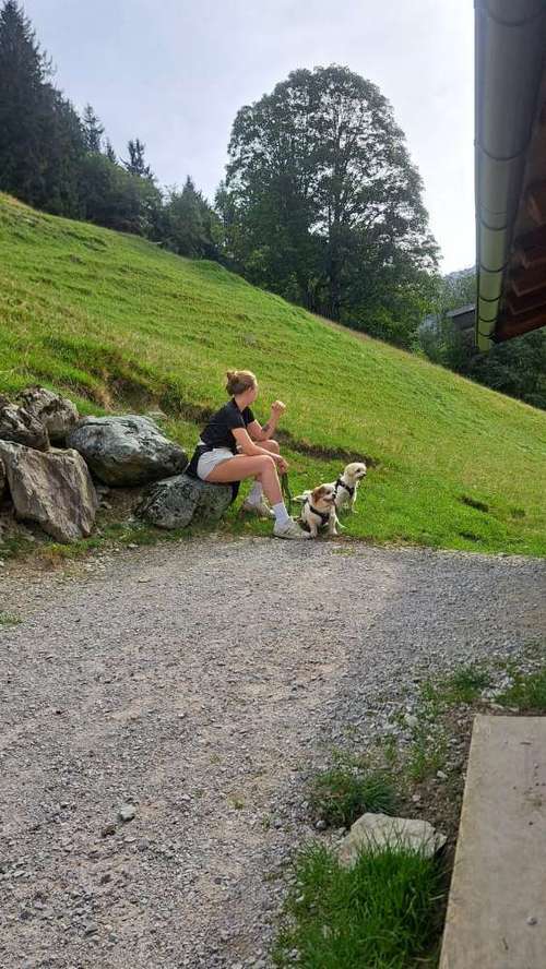 Hundeauslaufgebiet-Natürlich Stoak-Bild