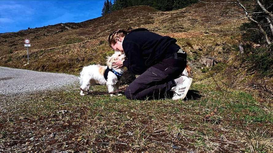 Hundeauslaufgebiet-Natürlich Stoak-Bild