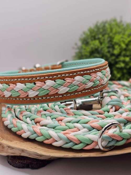 Hundeauslaufgebiet-WOODSDOGHunsrueck-Bild