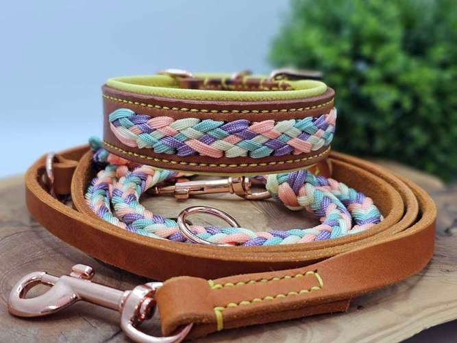 Hundeauslaufgebiet-WOODSDOGHunsrueck-Bild