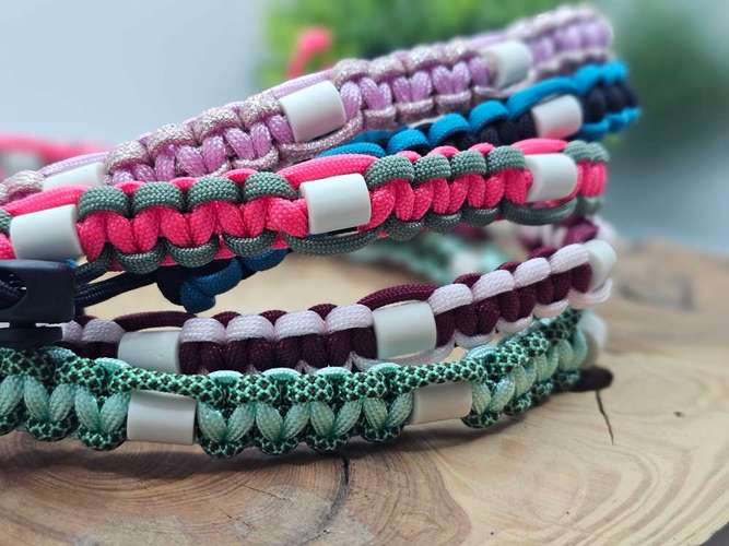 Hundeauslaufgebiet-WOODSDOGHunsrueck-Bild