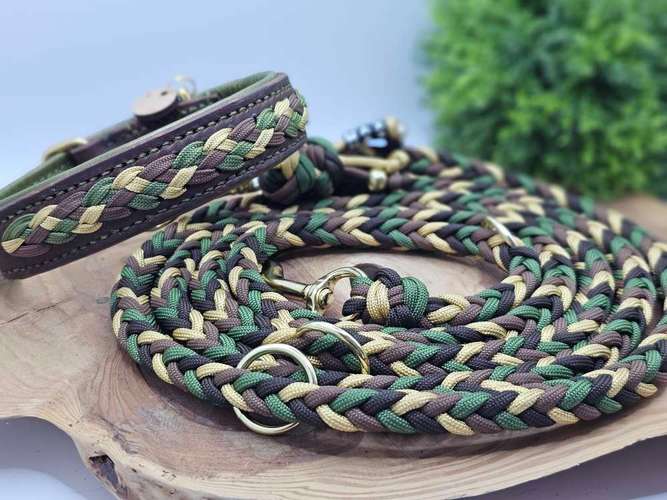 Hundeauslaufgebiet-WOODSDOGHunsrueck-Bild