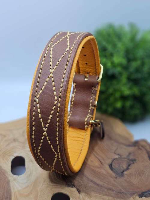 Hundeauslaufgebiet-WOODSDOGHunsrueck-Bild