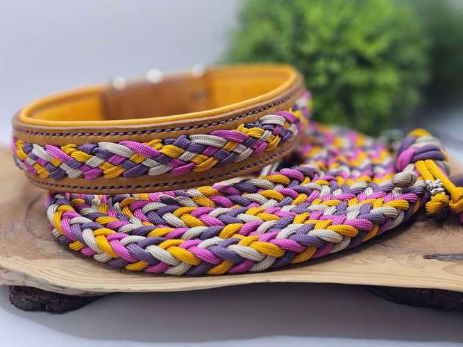 Hundeauslaufgebiet-WOODSDOGHunsrueck-Bild