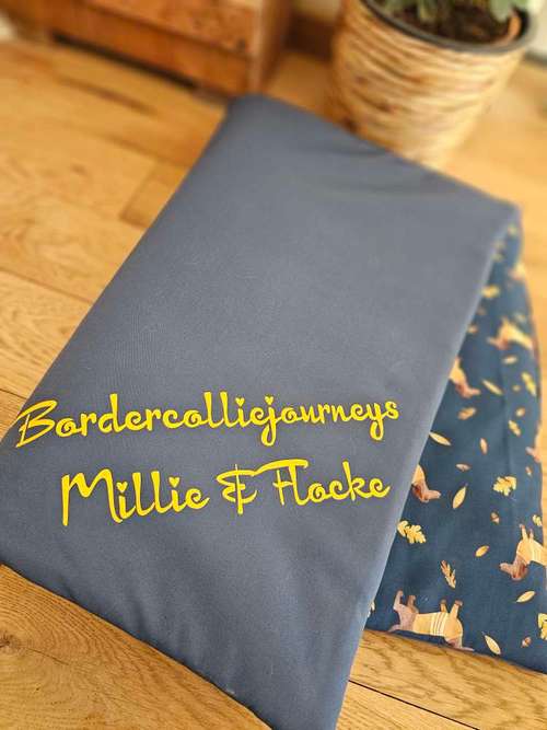 Hundeauslaufgebiet-WOODSDOGHunsrueck-Bild