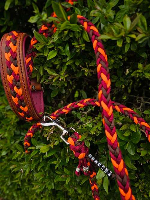 Hundeauslaufgebiet-WOODSDOGHunsrueck-Bild