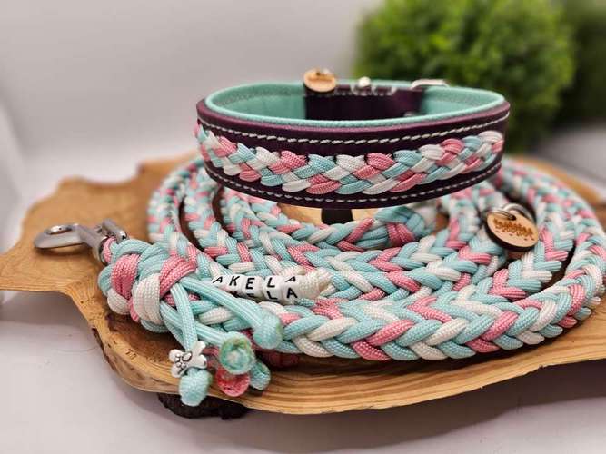 Hundeauslaufgebiet-WOODSDOGHunsrueck-Bild