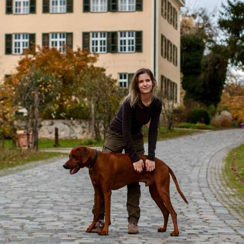 Hundeauslaufgebiet-lead&follow Hundetraining -Bild