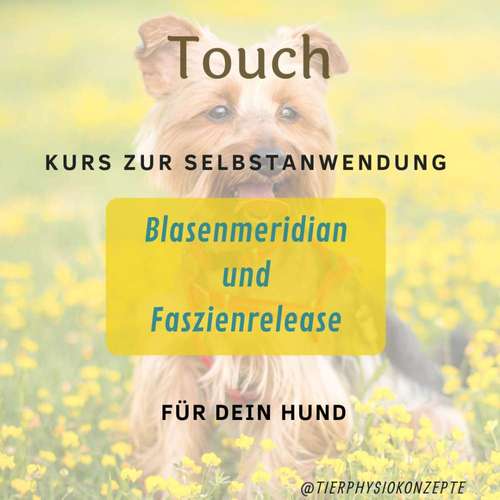 Hundeauslaufgebiet-Tierphysiokonzepte-Bild