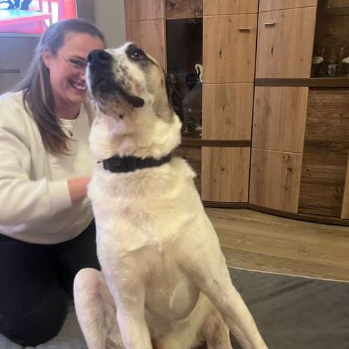 Hundeauslaufgebiet-Tiertherapie-Hennef Marie Spitzer-Bild
