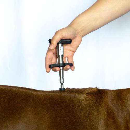 Hundeauslaufgebiet-Tiertherapie-Hennef Marie Spitzer-Bild